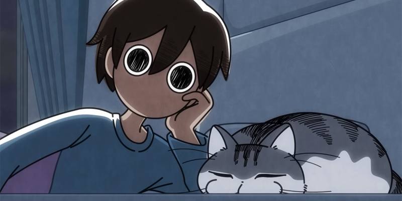 Streaming Nights with a Cat