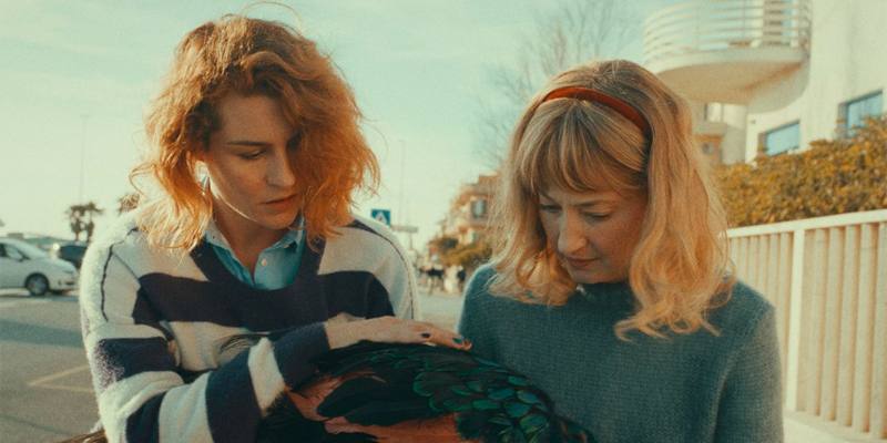 Streaming Il paradiso del pavone